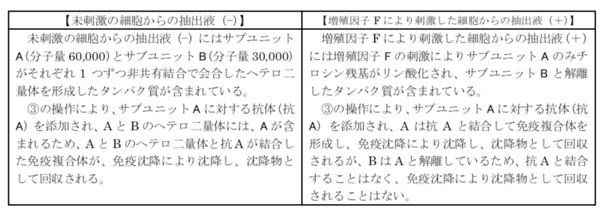 解説画像